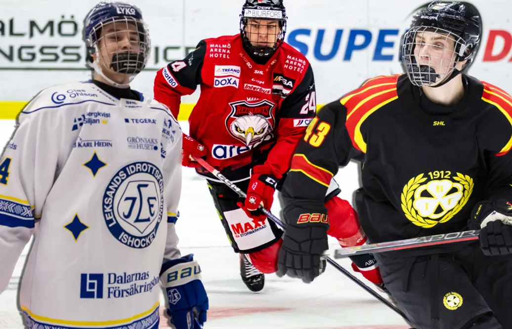 LISTA: Alla gallerspelare i svensk elithockey