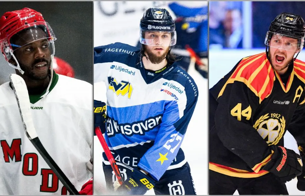 KARLSSON: De är HockeyAllsvenskans 15 bästa värvningar