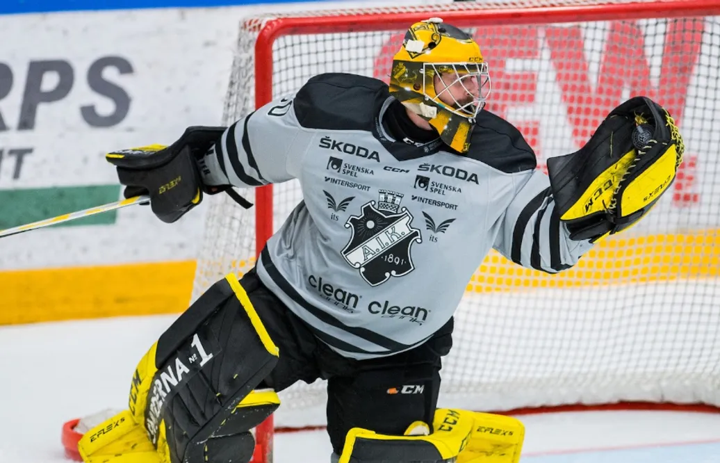 Alexander Sahlin dubbelskrivs – görs tillgänglig för spel i Hockeyettan-klubben