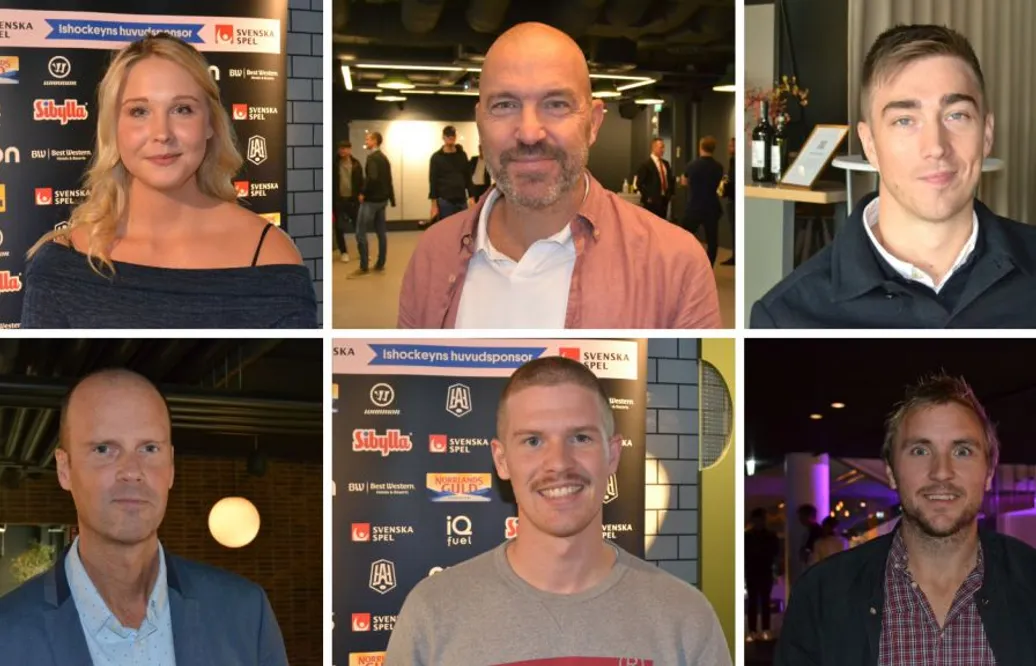 ENKÄTEN: Experterna och journalisterna förutspår – så slutar Hockeyallsvenskan