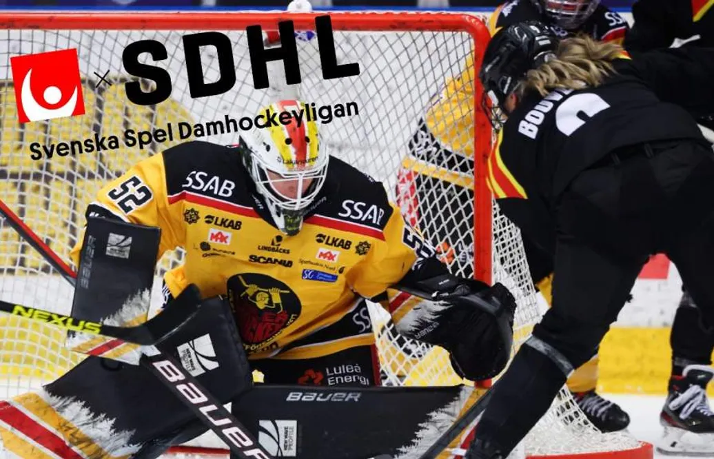 Tio lag - tio målvaktssituationer i SDHL