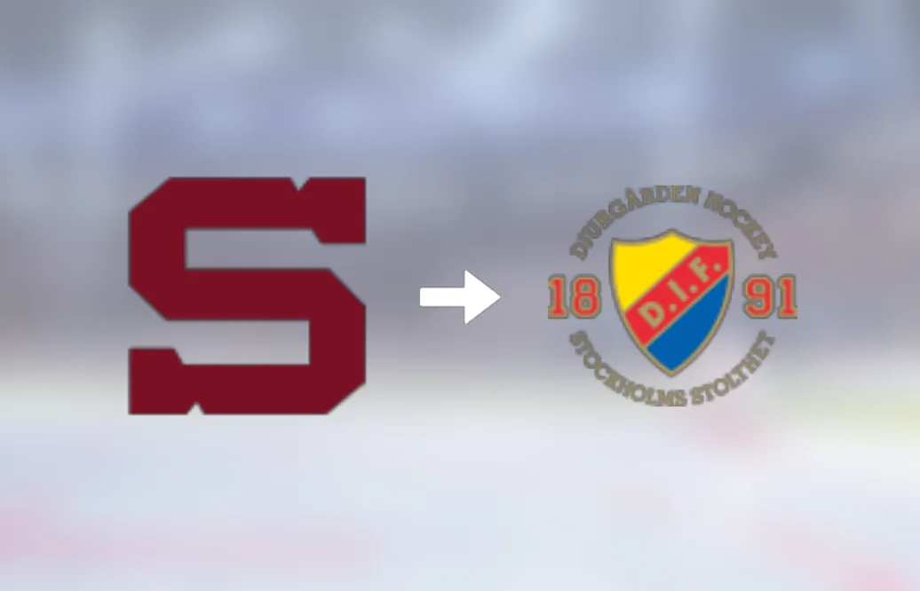 Djurgårdens IF värvar målvakten Alexander Salák från HC Sparta Praha