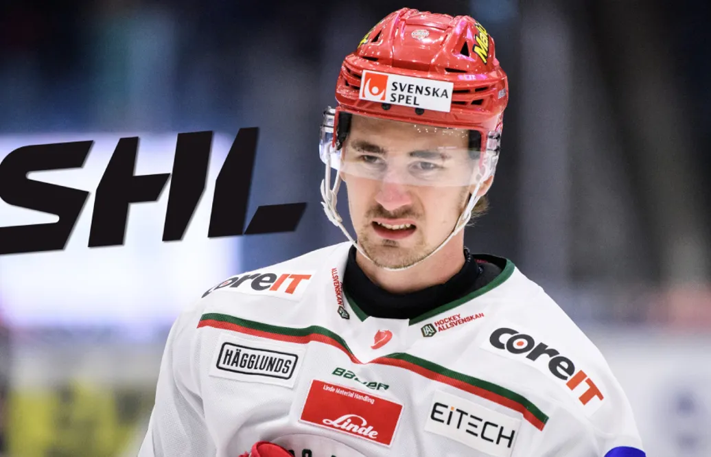 David Bernhardt om SHL-intresset: ”Vill gå upp med MoDo”