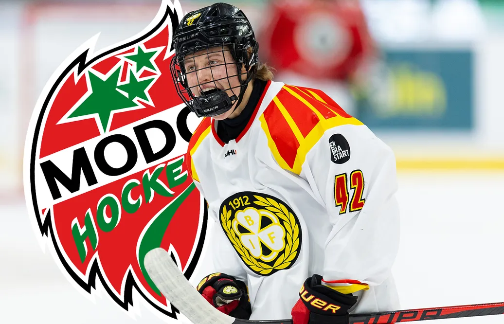 Viivi Vainikka väljer att starta säsongen i MoDo Hockey. 
