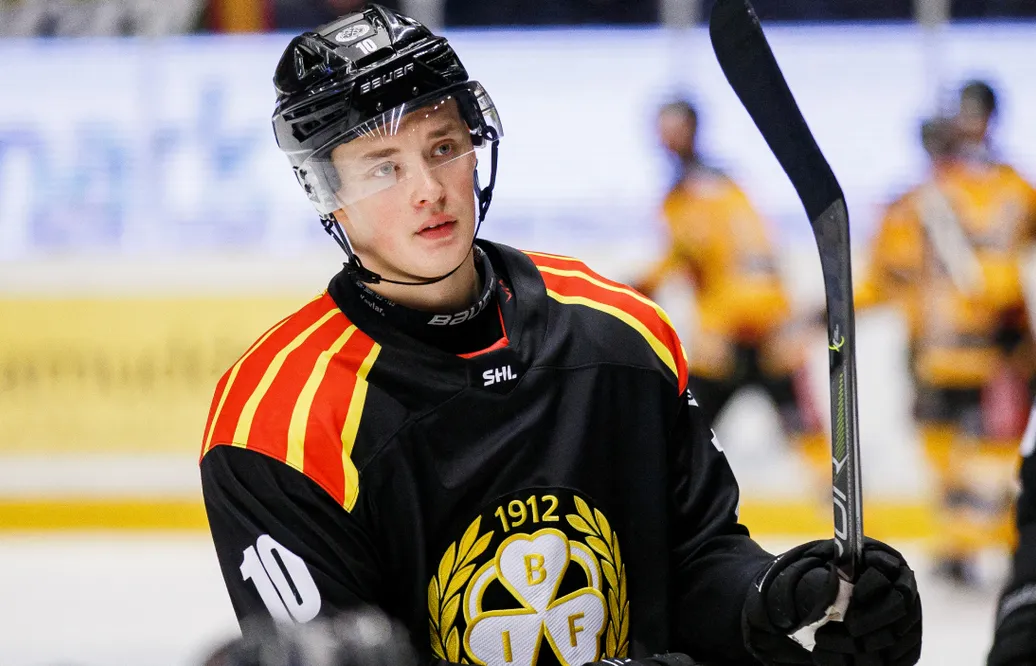 Noel Gunler skickas till ECHL