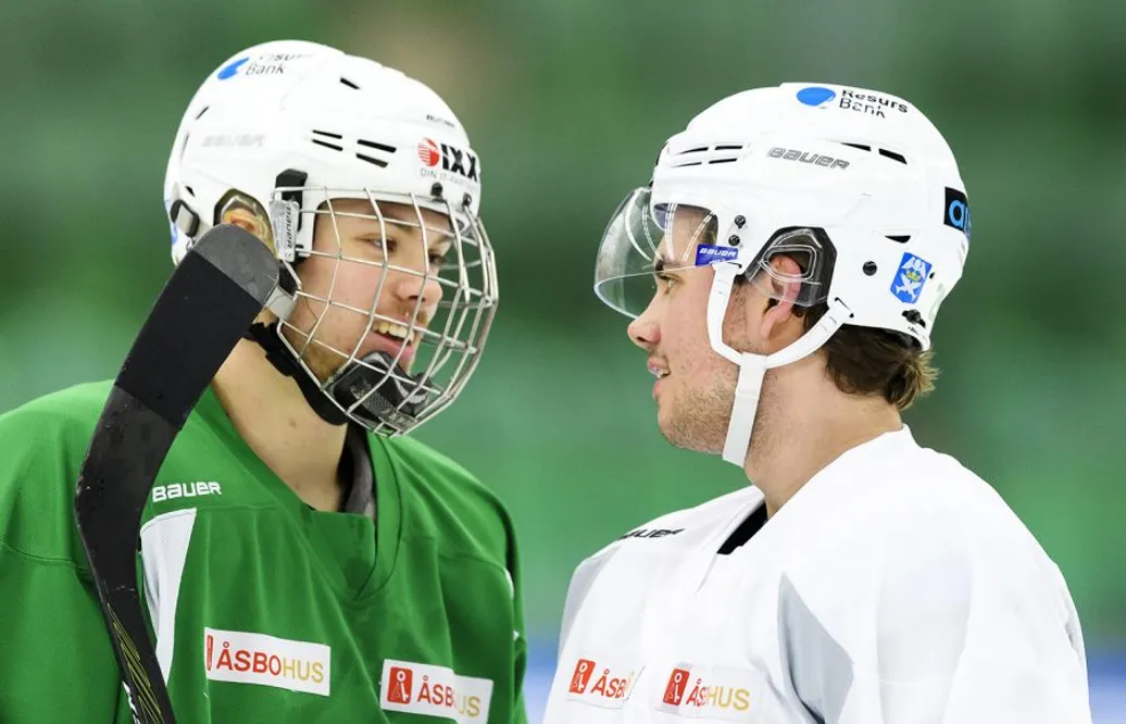 Bröderna lånas ut från SHL till HockeyAllsvenskan