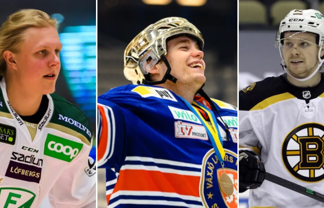 Lista: Så har säsongen gått för AHL-svenskarna