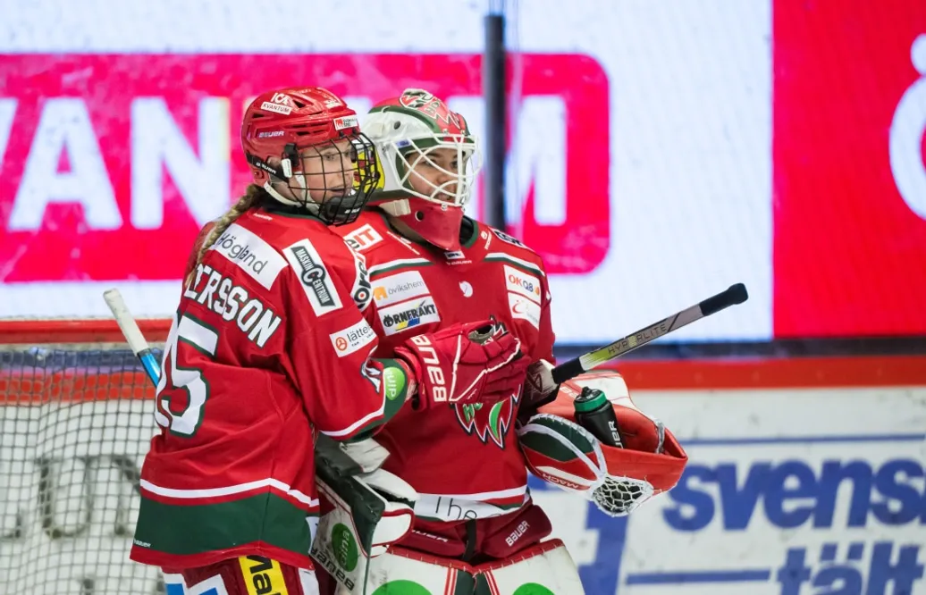 Modo Hockey avgjorde tät match mot SDE i tredje perioden
