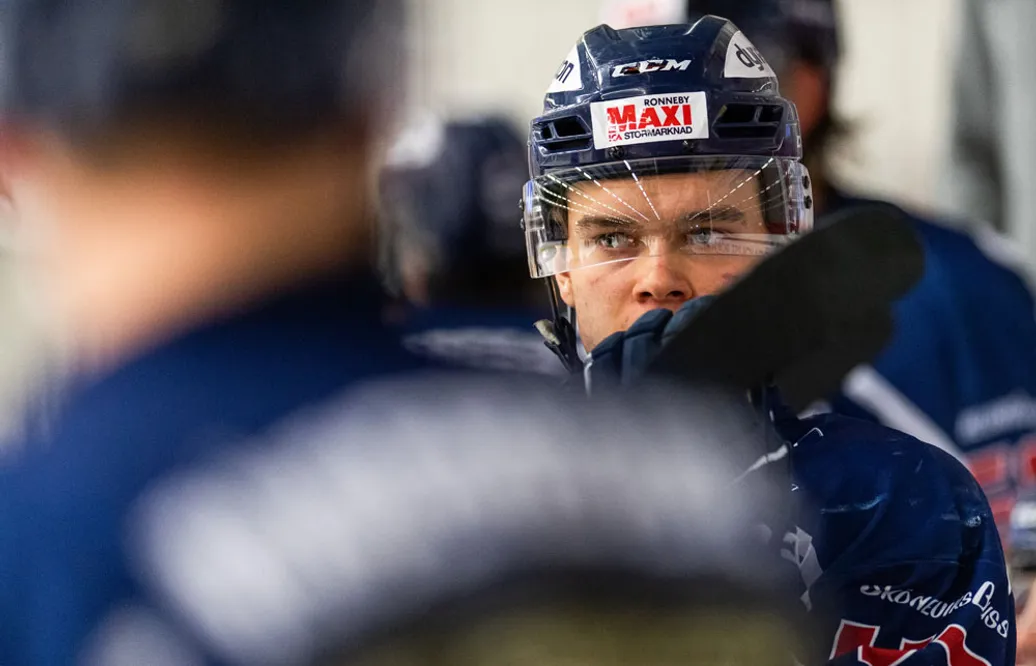 MJÖRNBERG: Det är fullständigt vansinne