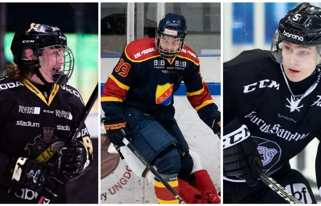 Fyra svenskar tippas gå i förstarundan – i nästa års draft