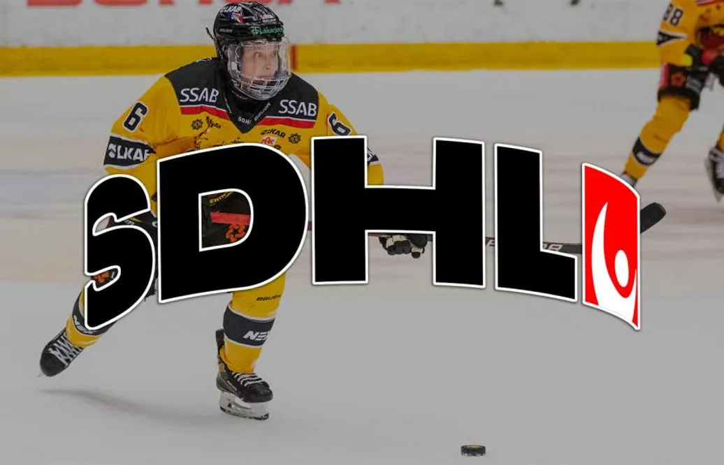 "Bästa importspelaren SDHL fått in på många, många år"