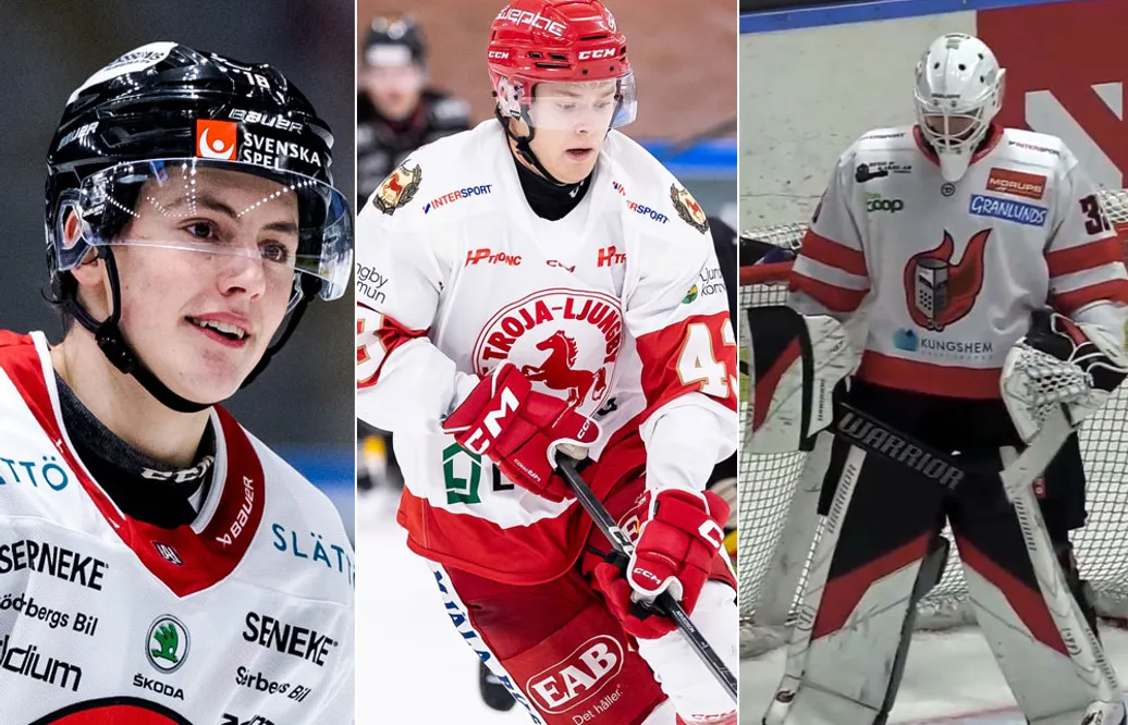Tio succéspelare i Hockeyettan det talats alldeles för lite om