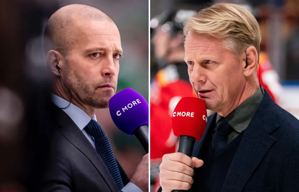Experterna kritiska mot Svenska Ishockeyförbundet och IIHF