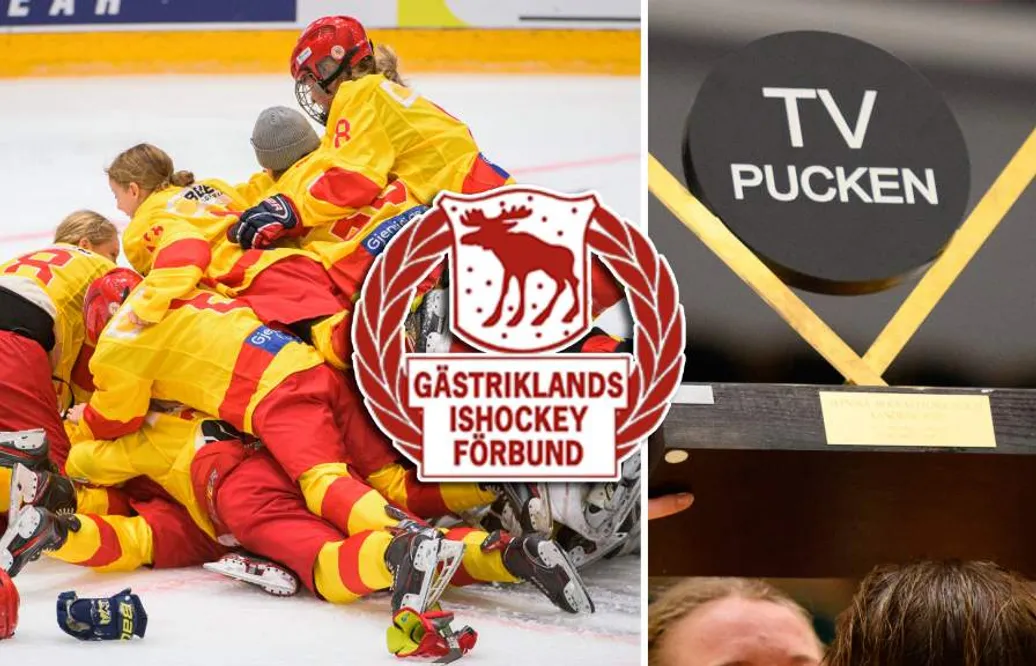 Gästrikland – TV-pucken 2022: Kommentarer om ALLA spelare
