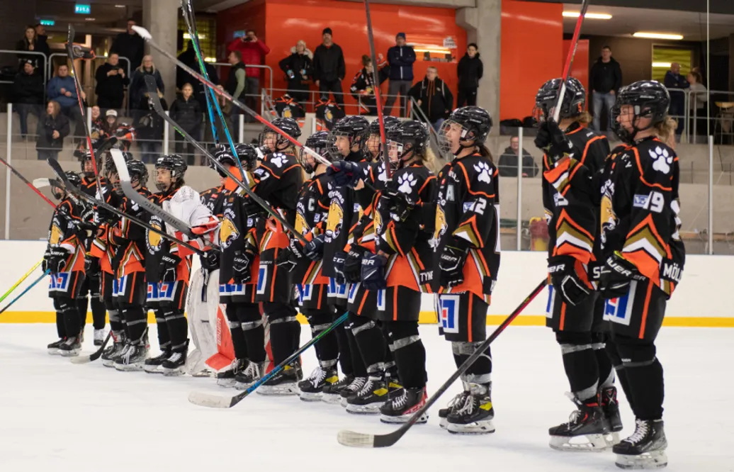 SDHL-klubben värvar – amerikansk forward klar
