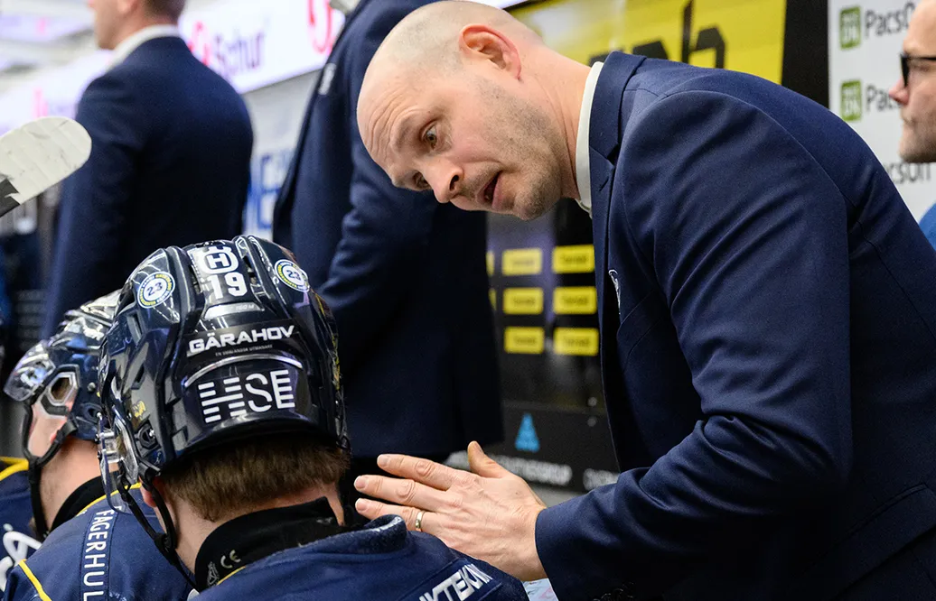 HV71 förlänger med hyllade tränaren, Kris Beech