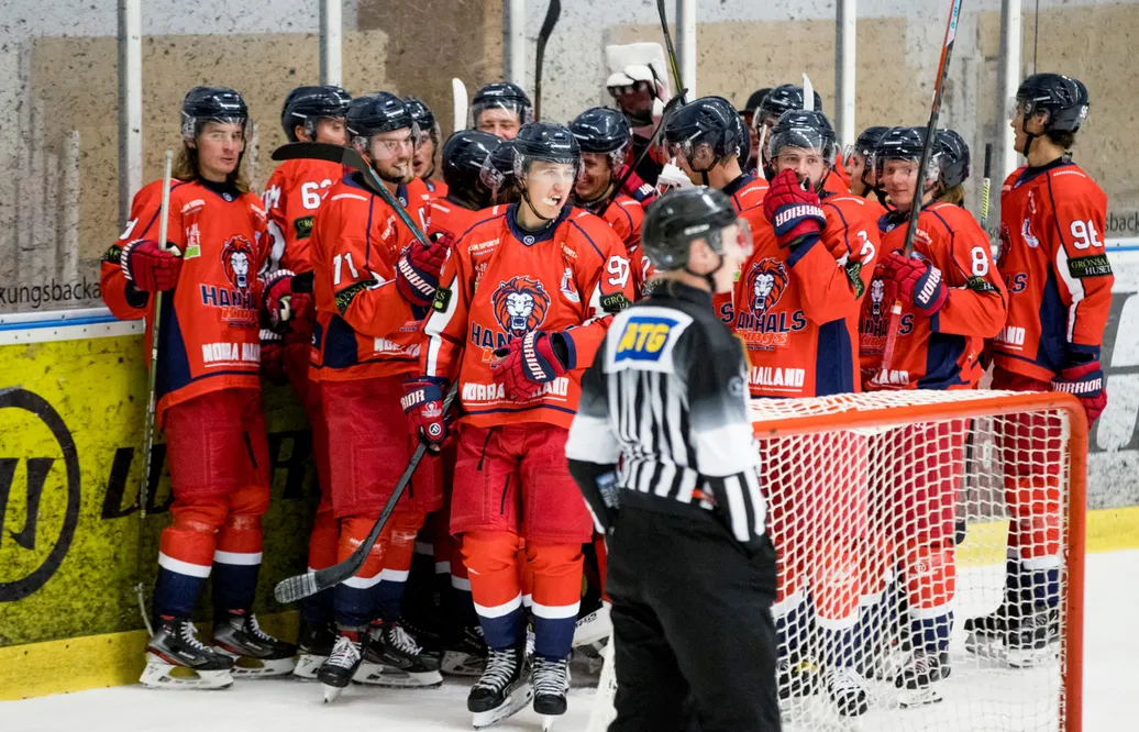 Hanhals IF drar sig ur kvalserien till Hockeyettan