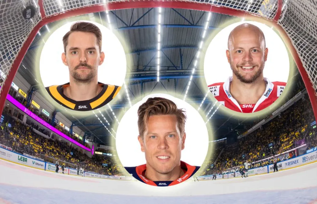 RANKING: SHL:s bästa målvakter 2020