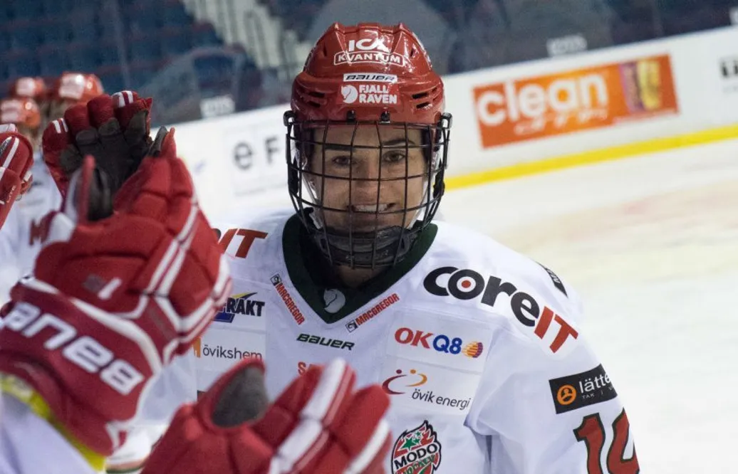 SDHL-svepet: Luleå vann inför rekordpublik