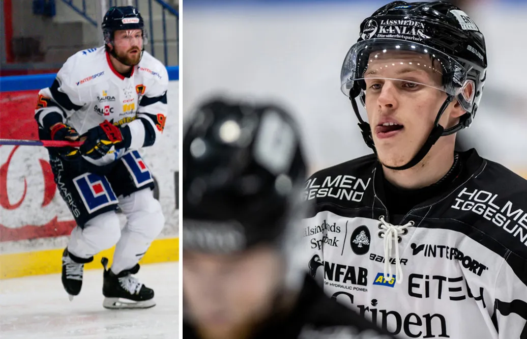 MJÖRNBERG: Fredagsplocket – mustiga spaningar från Hockeyettan