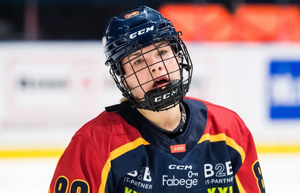 Segersviten sprack för HV 71 mot Djurgården