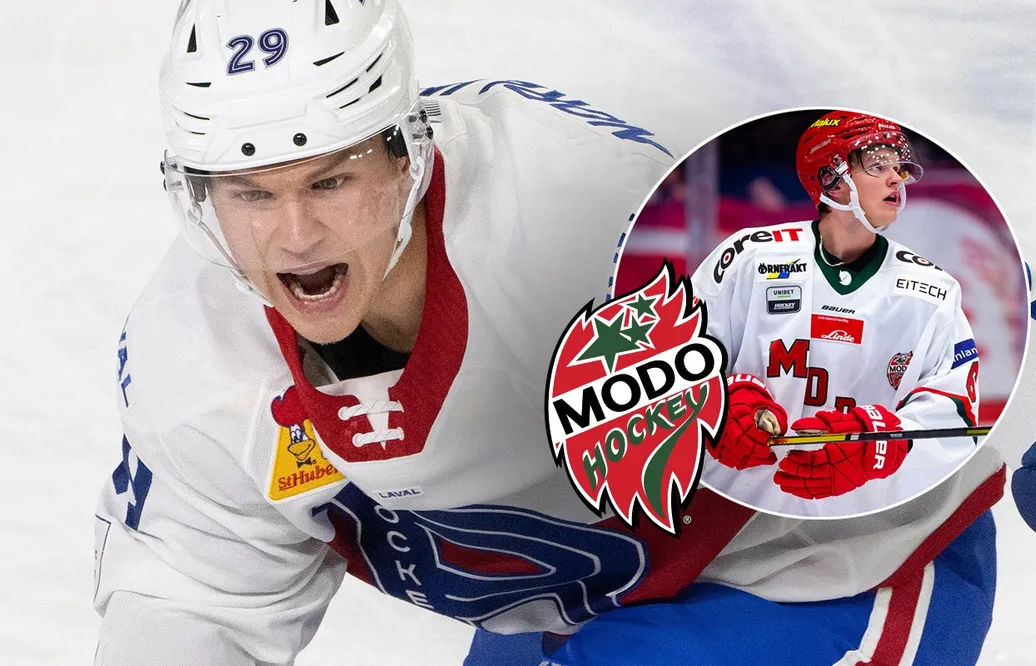 Efter insamlingen – Norlinder klar för MoDo
