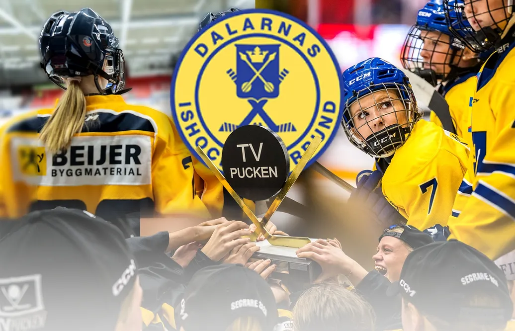 TV-pucken: Kommentarer om ALLA spelare – Dalarna