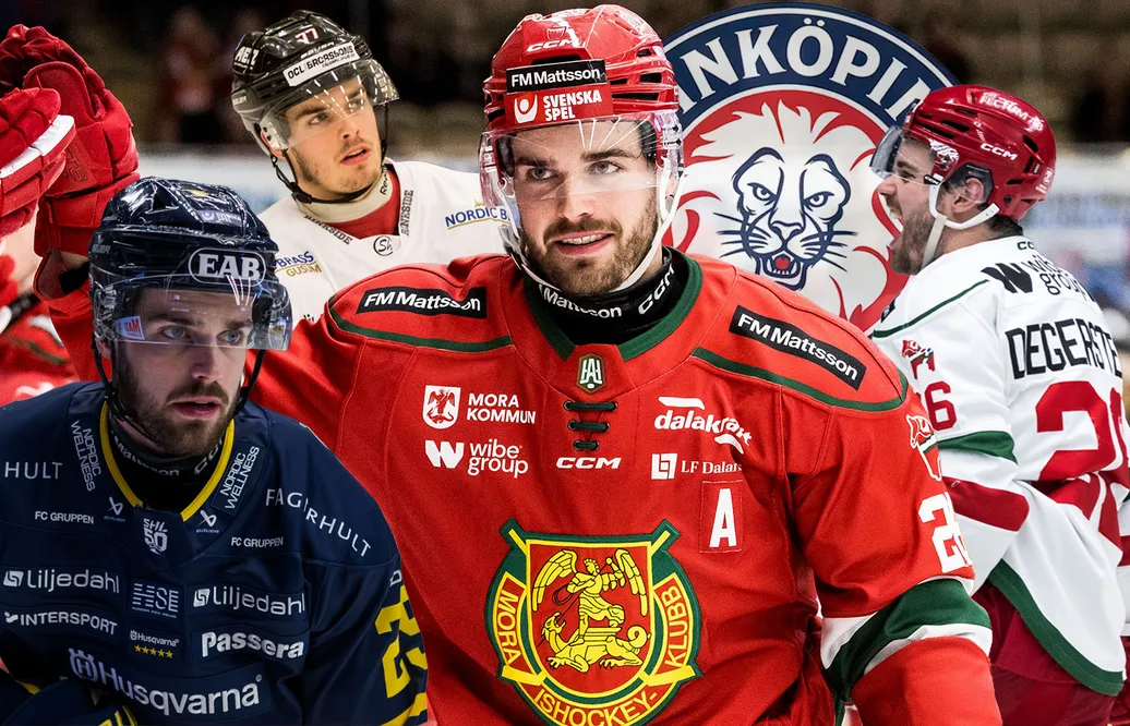 Arvid Degerstedt har tagit sig till SHL som 27-åring.