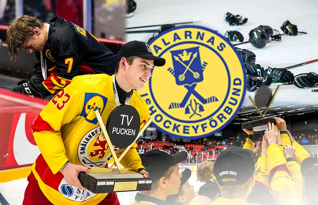 Dalarna - kommentarer om ALLA spelare