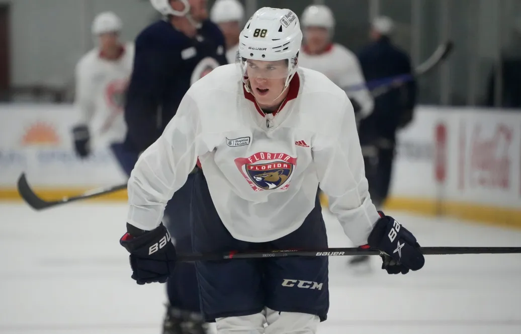 Doldissvensken kallas upp - går mot NHL-debut