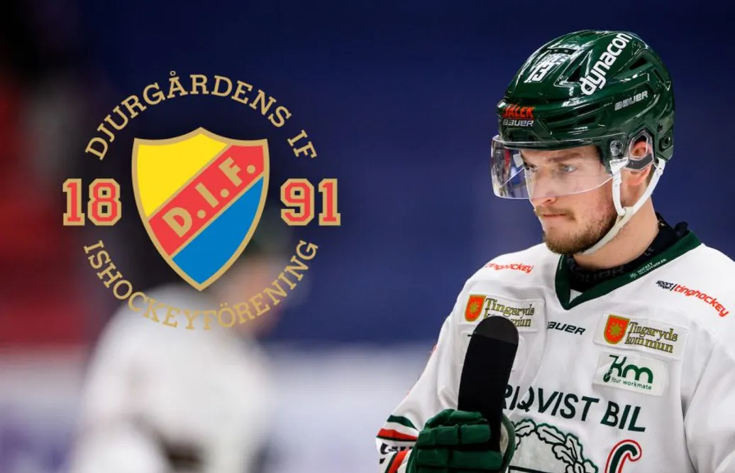 Bäst i allsvenskan – nu väntar SHL-spel