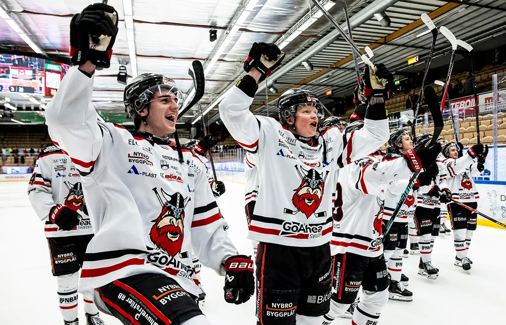 Nybro Vikings får spela i HockeyAllsvenskan även nästa år. 