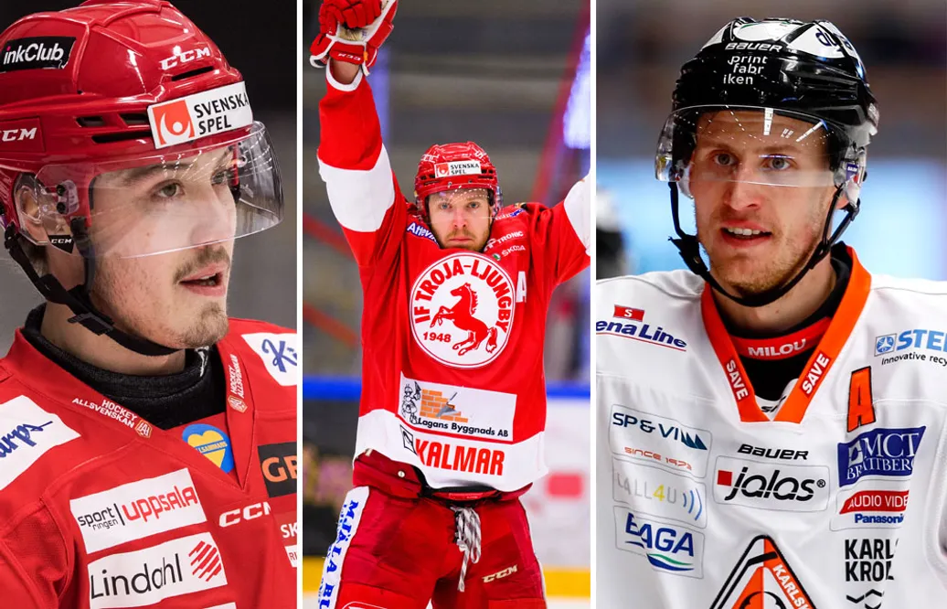 MJÖRNBERG: Intensiv sillyonsdag