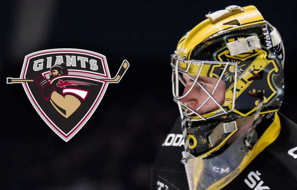 Draftade målvakten lämnar AIK för spel i Nordamerika
