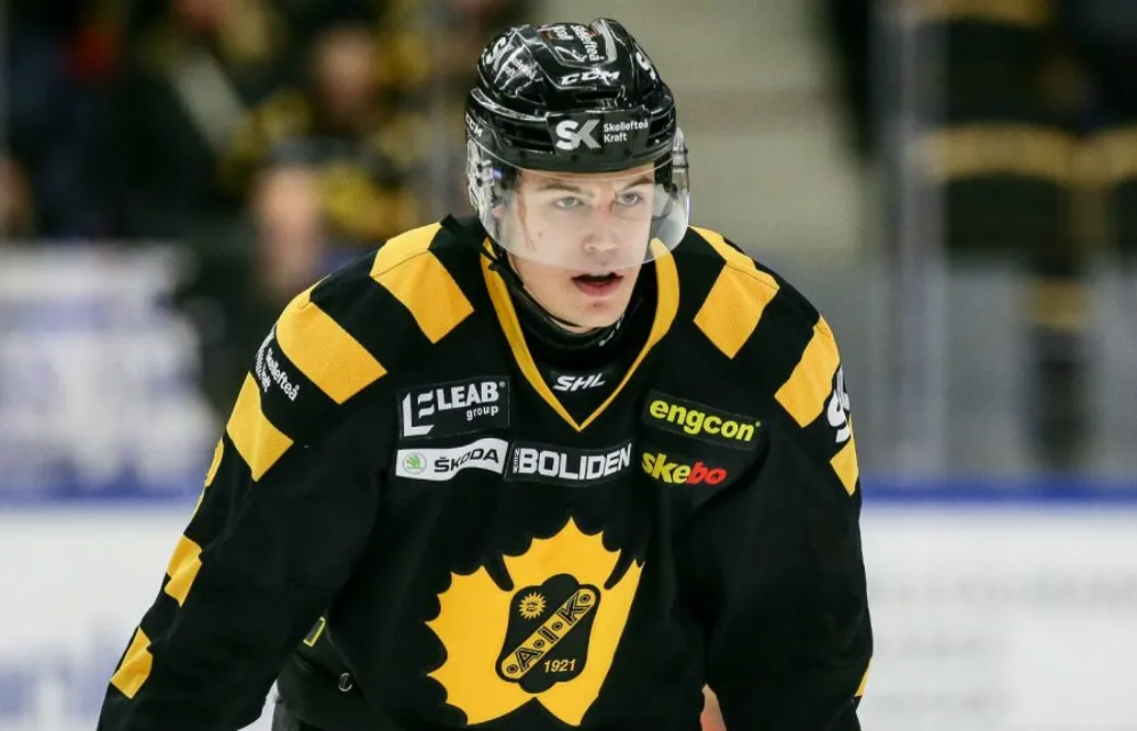 Vita Hästen förstärker med Skellefteåback