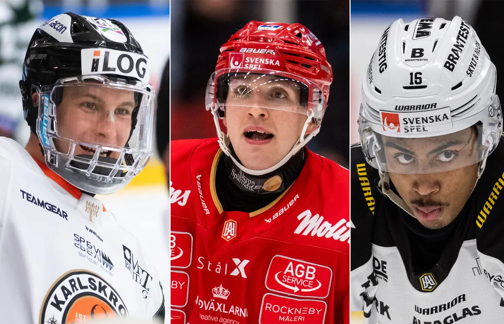 Joel Ratkovic Berndtsson, Georgs Golovkovs och Noah Wolf gör avtryck i Hockeyettan.