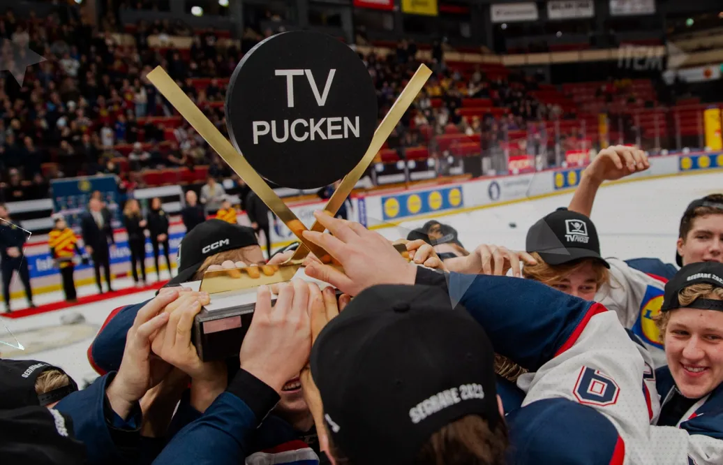 Spelarna som stack ut mest i TV-puckens kvartsfinaler