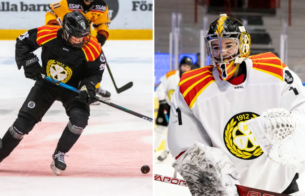 Klart: Duo lämnar Brynäs