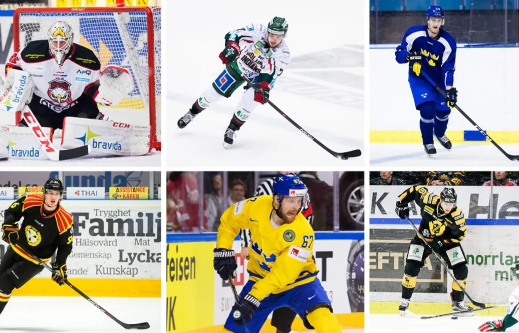 Sveriges officiella All Star Team säsongen 2016/2017 är här