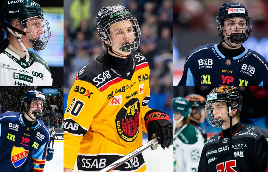 LISTA: Alla gallerspelare i SHL och Hockeyallsvenskan
