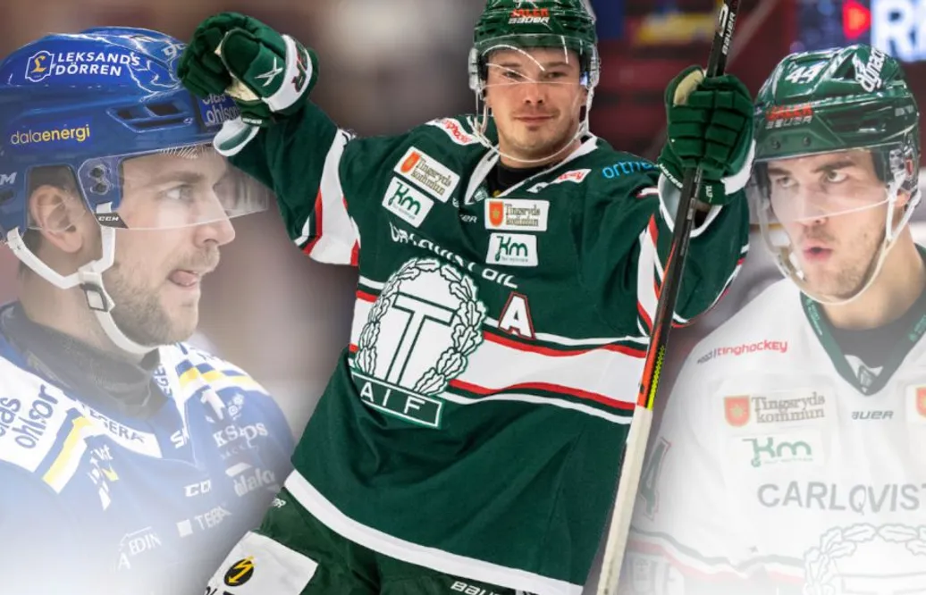 Så har de Hockeyallsvenska lagen värvat hittills