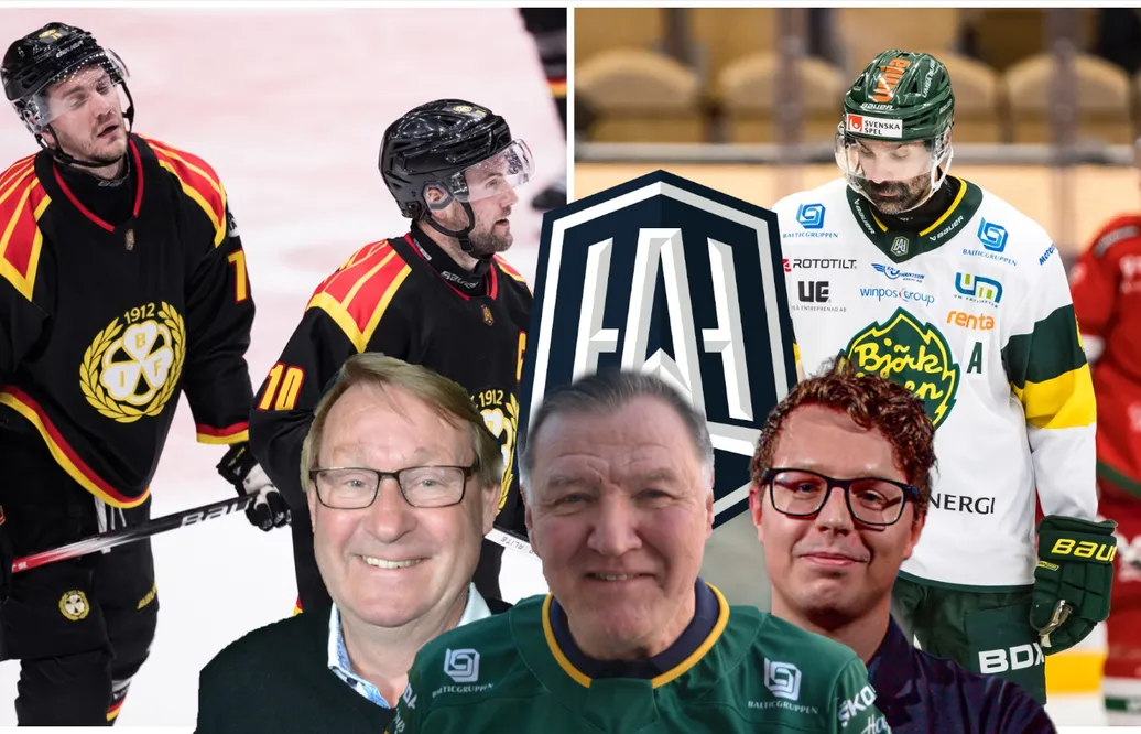 Hockeypanelen om HockeyAllsvenskan: Överraskningarna och besvikelserna