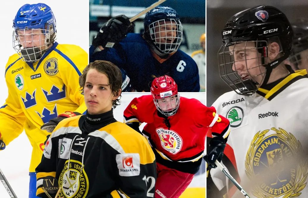 Vann poängligan i TV-pucken - så gick det sen