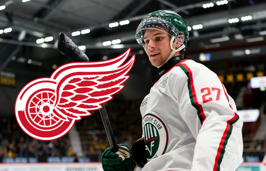 JVM-aktuelle svensken får visa upp sig för NHL-klubben
