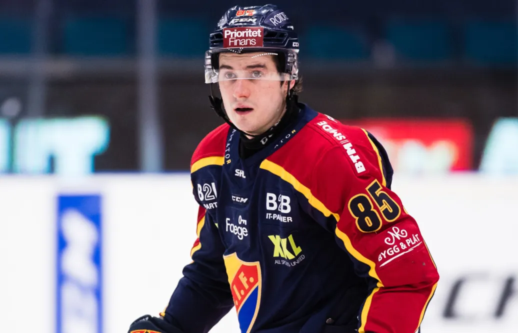 Michael Haga lämnar Black Wings Linz
