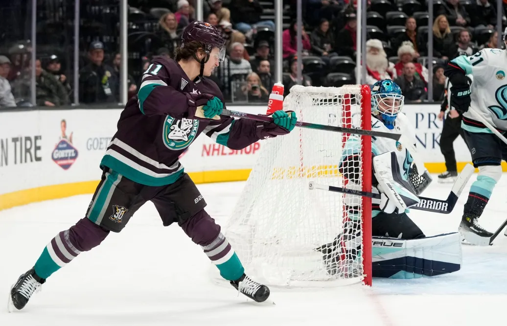 NHL 2024/25: Anaheim Ducks - genomgång av laget