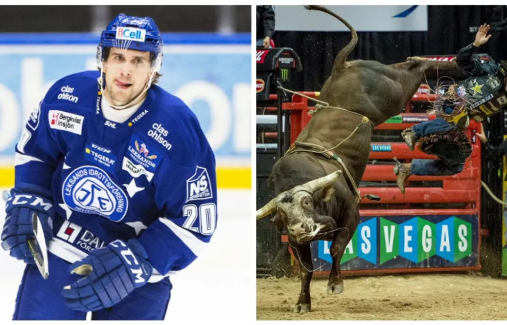 Leksingens pappa – en dödsföraktande cowboy: ”Fattade aldrig hur farligt det var”
