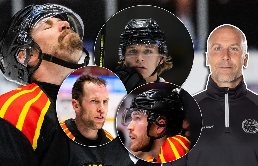 SHL:s största fysmonster: Brynäs IF
