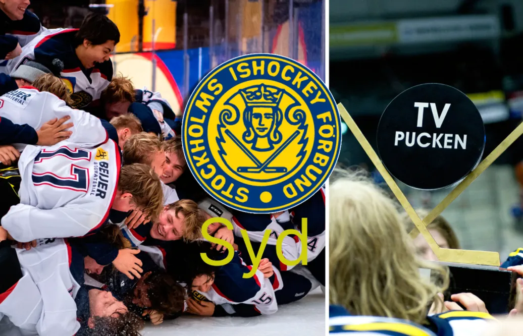 TV-pucken 2022: Stockholm Syd – kommentarer om ALLA spelare