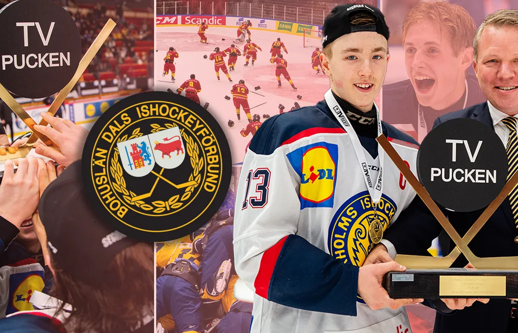 TV-pucken 2024: Bohuslän/Dal – kommentarer om ALLA spelare